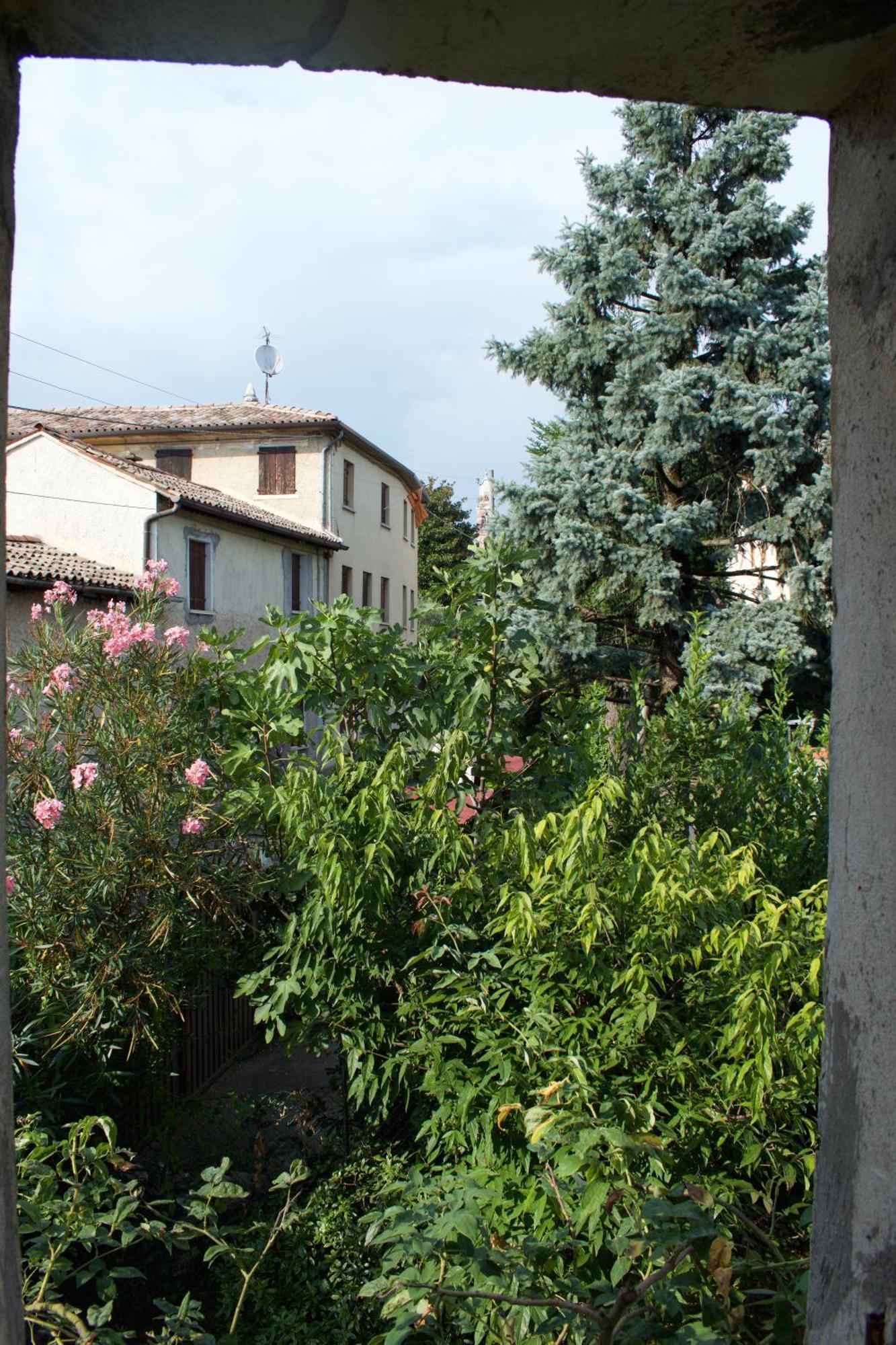 B&B Rosales Borso del Grappa Exterior foto